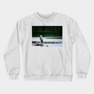 Heron with Ruffled Feathers Crewneck Sweatshirt